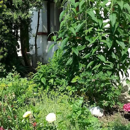 Refugium Tatil Evi *