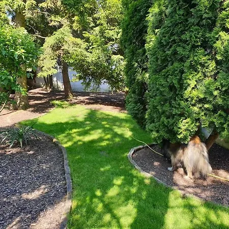 Refugium Tatil Evi Ottenthal