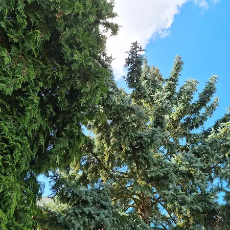 Дом отдыха Refugium Ottenthal