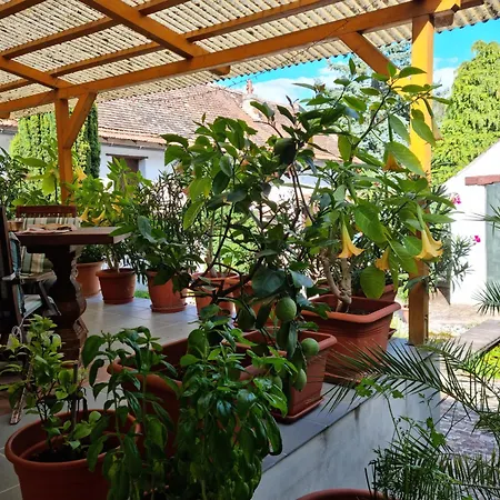 Refugium Casa de Férias *