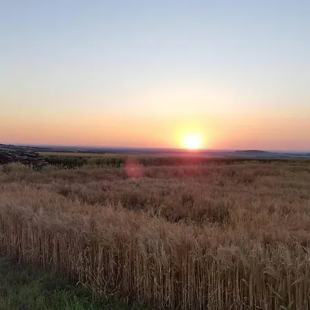 Ferienhaus Refugium *