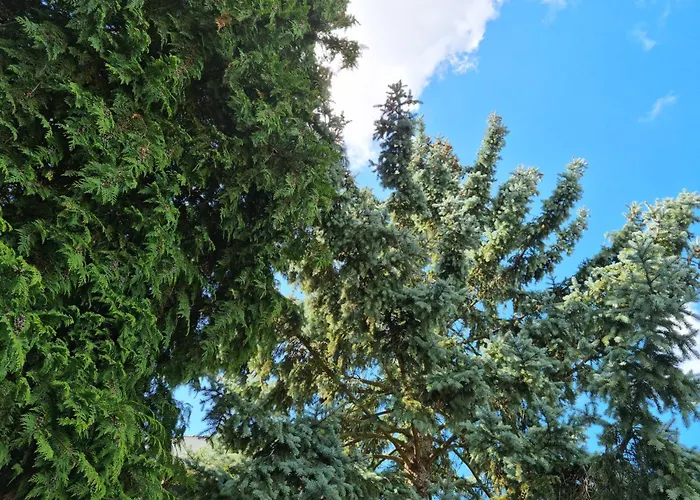 Feriehus Refugium Ottenthal