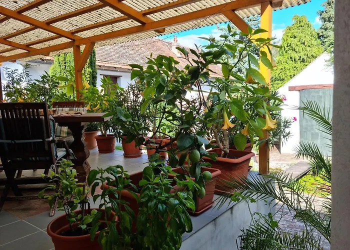 Refugium בית נופש *