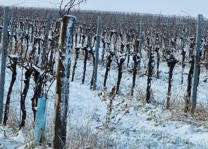 Дом отдыха Refugium *