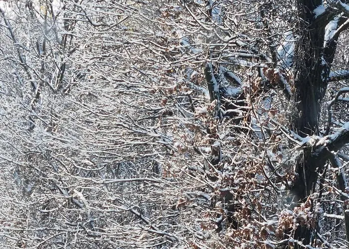 Refugium Дом отдыха *